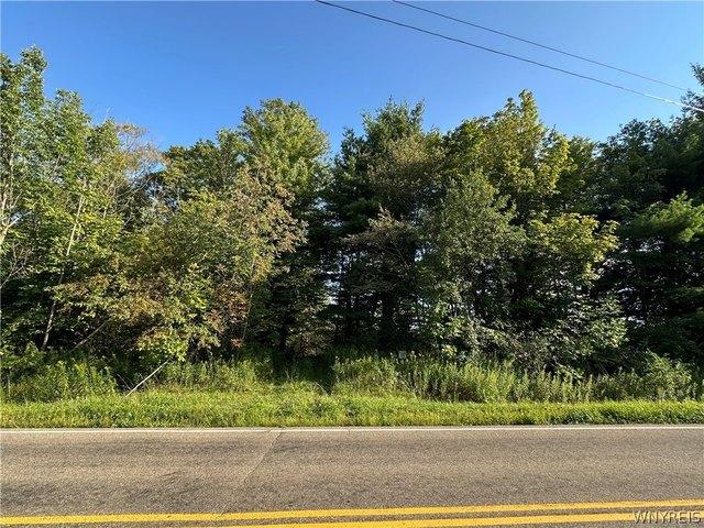 Farm for sale in Lawtons, New York