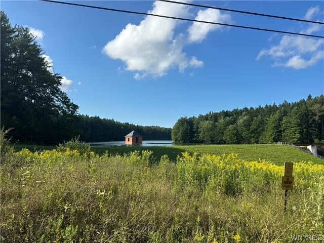 Land for sale in Town of North Collins, Erie County