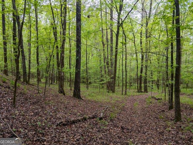 Land for sale in Macon, Georgia