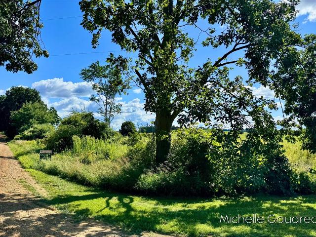 Land for sale in Michigan