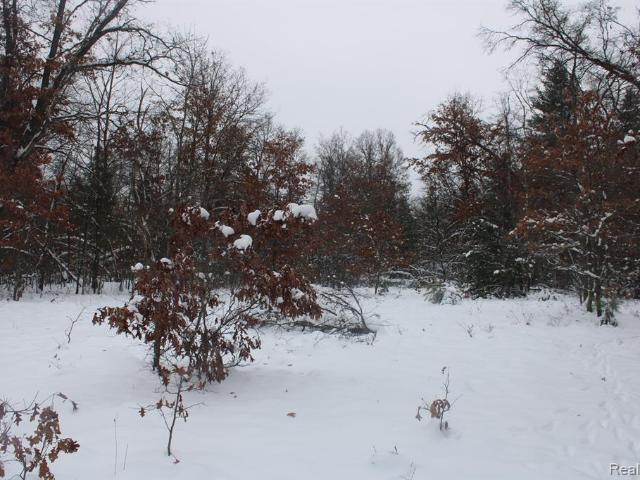 Land for sale in Alger, Michigan
