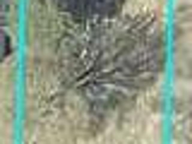 Land for sale in Shelby