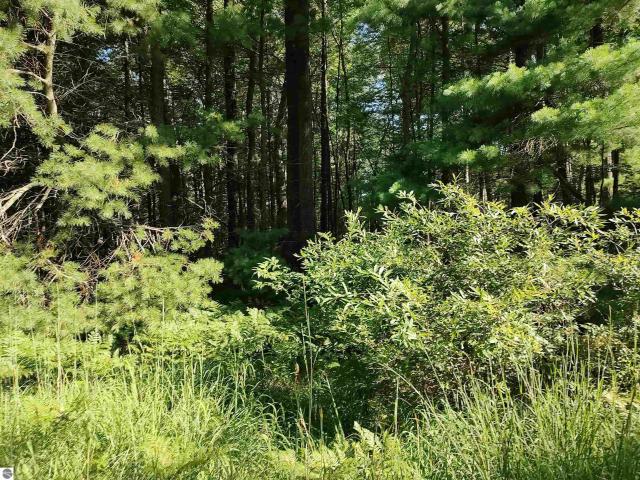 Land for sale in Michigan