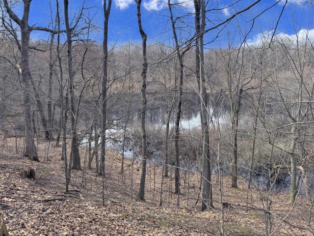 Land for sale in Michigan