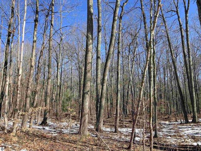 Land for sale in Rose City, Michigan