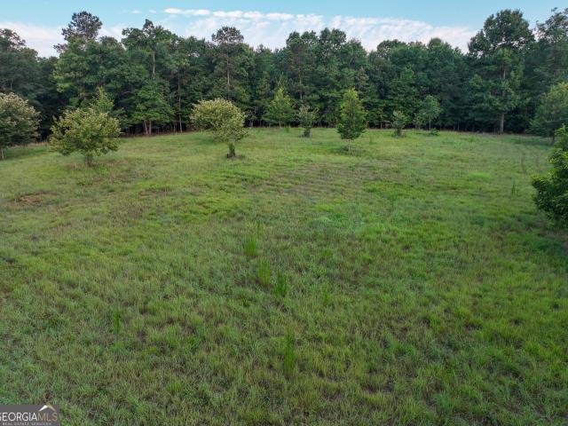 Land for sale in Flovilla, Georgia