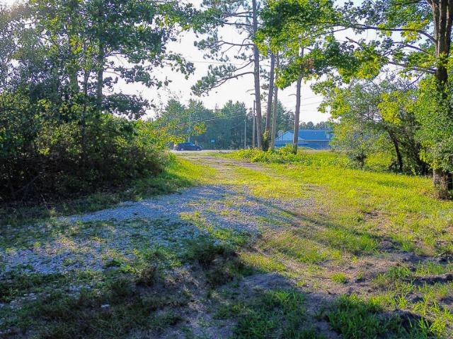 Land for sale in Twin Lake, Michigan