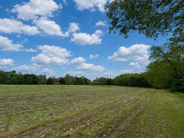 Land for sale in Belmont, Michigan