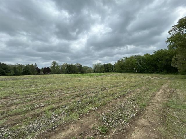 Land for sale in Plainfield Charter Township, Belmont