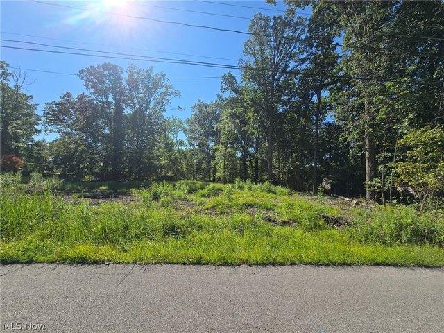 Land for sale in Sheffield Lake, Lorain County
