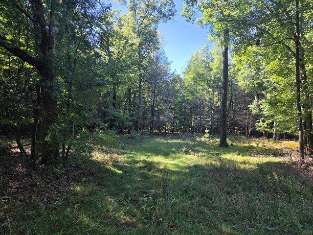 Land for sale in Montague, Muskegon County