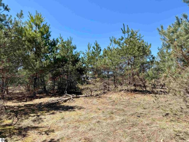Land for sale in Michigan