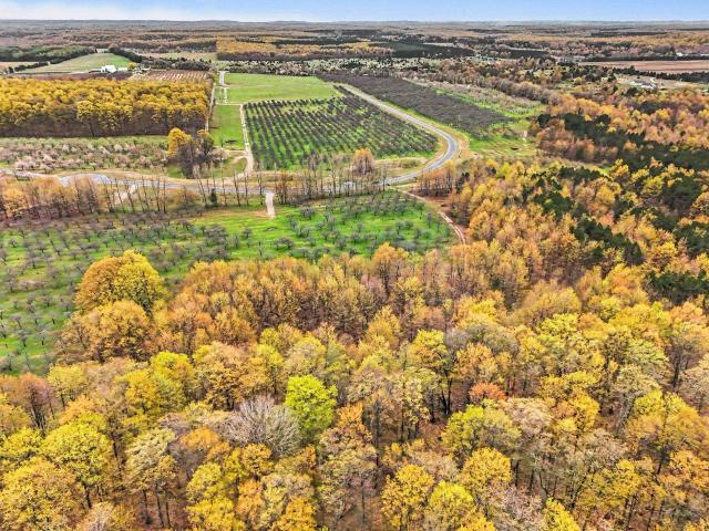 Land for sale in Michigan