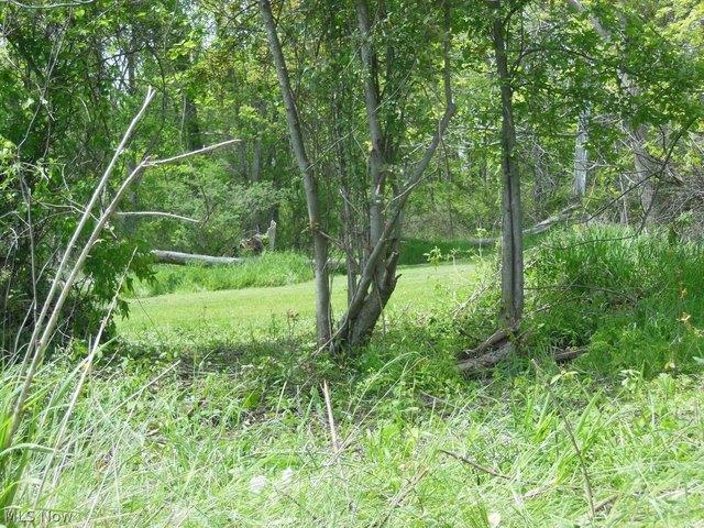 Land for sale in Bolivar, Ohio