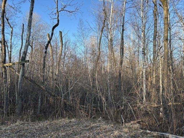 Land for sale in Tuscola, Michigan