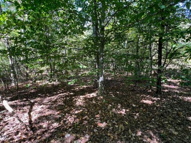 Land for sale in Allegan, Michigan
