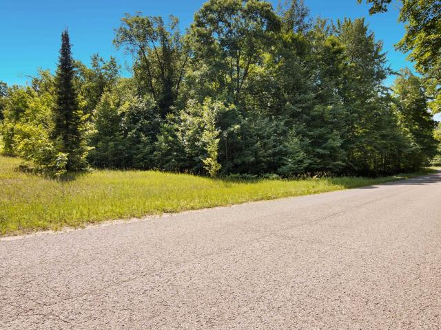 Land for sale in Custer Township, Antrim County