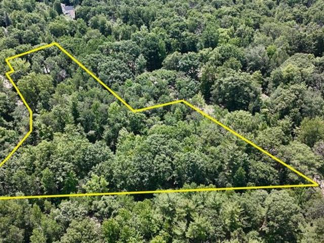Land for sale in Clare, Michigan