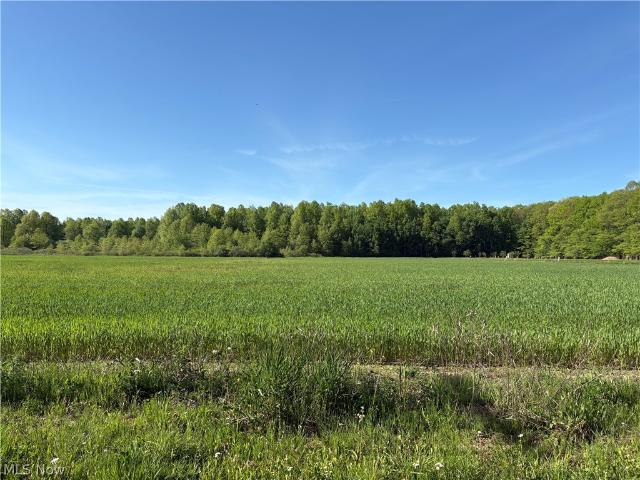 Land for sale in Thompson, Ohio