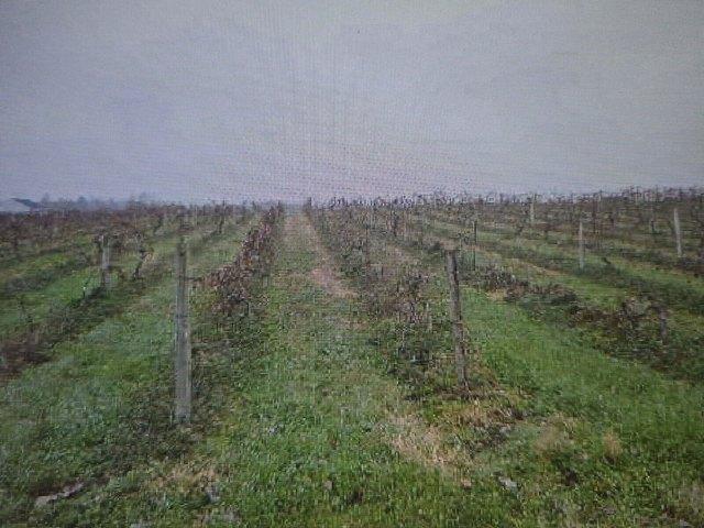 Land for sale in Saint Joseph, Michigan