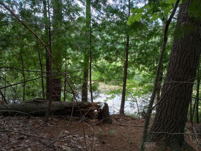 Land for sale in Gladwin