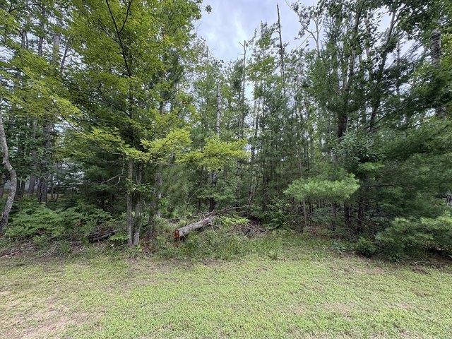 Land for sale in Hillman, Michigan