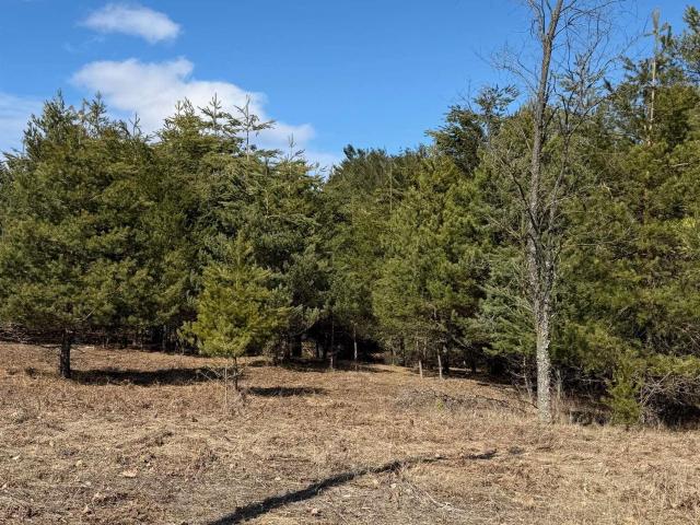 Land for sale in Michigan