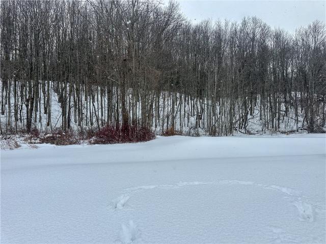 Land for sale in Cohocton, New York