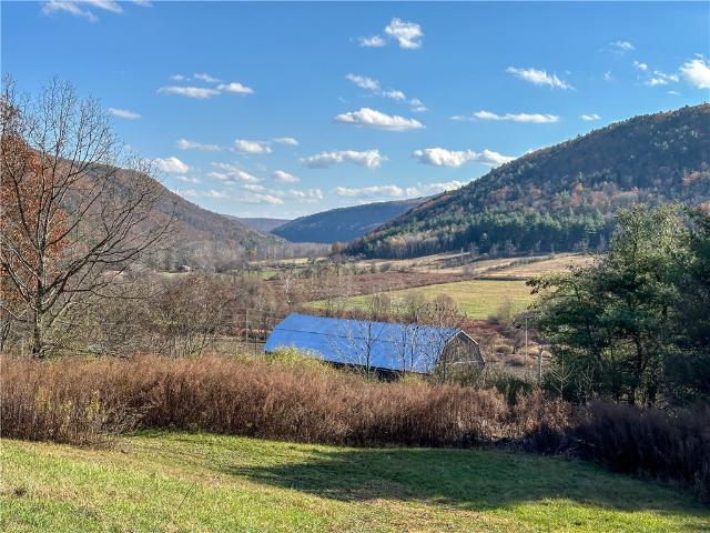 Land for sale in Canisteo, New York
