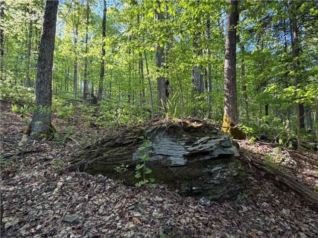 Land for sale in New York