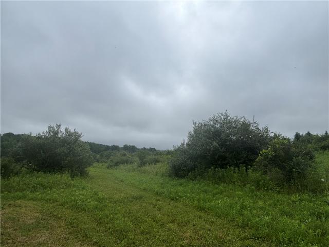 Land for sale in Dansville, New York