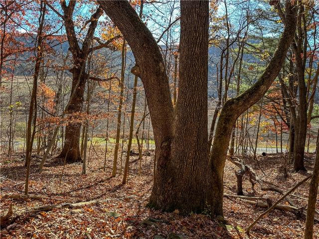 Land for sale in Canisteo, New York