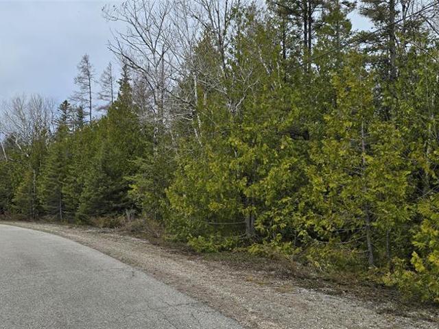 Land for sale in Presque Isle, Michigan
