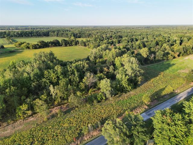 Land for sale in Brady Center, Brady Township