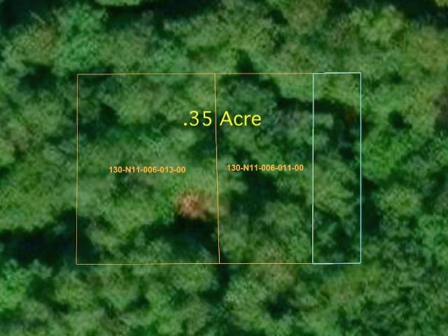 Land for sale in Topinabee, Michigan
