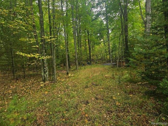 Land for sale in Michigan
