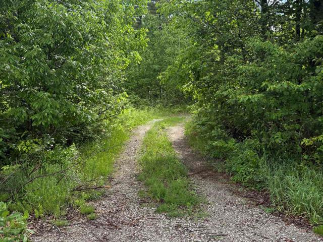 Land for sale in Alger, Michigan