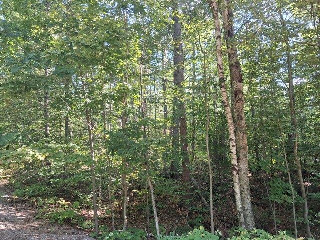 Land for sale in Gaylord, Otsego County