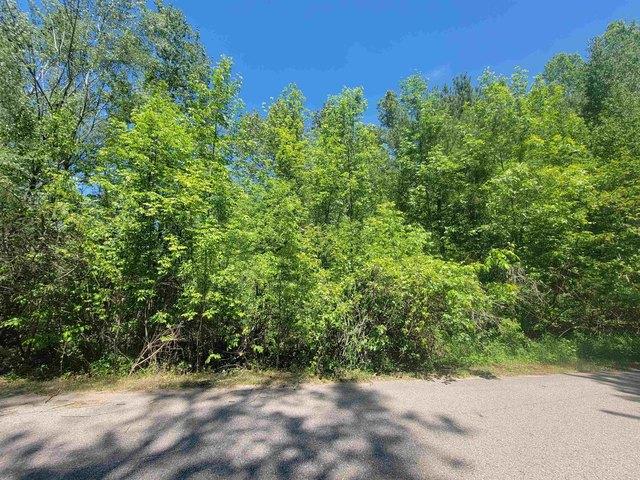 Land for sale in Gladwin, Gladwin County