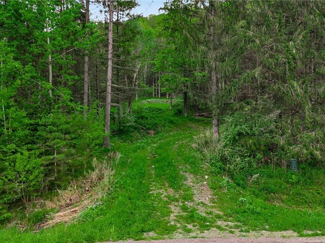 Land for sale in Little Valley