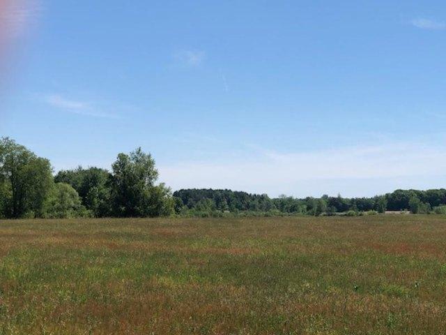 Land for sale in Otisville, Michigan