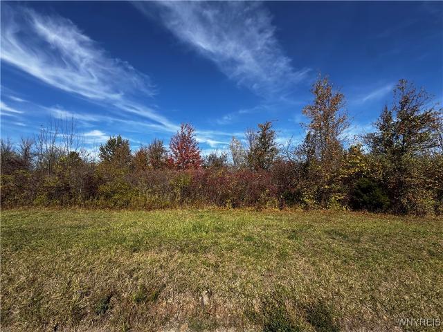 Land for sale in Niagara, New York