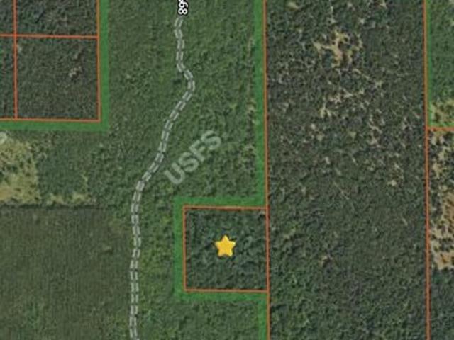 Land for sale in Free Soil, Michigan