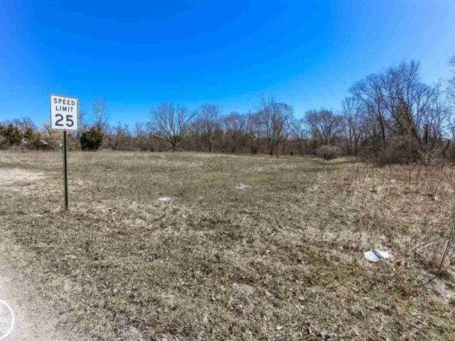 Land for sale in Fort Gratiot