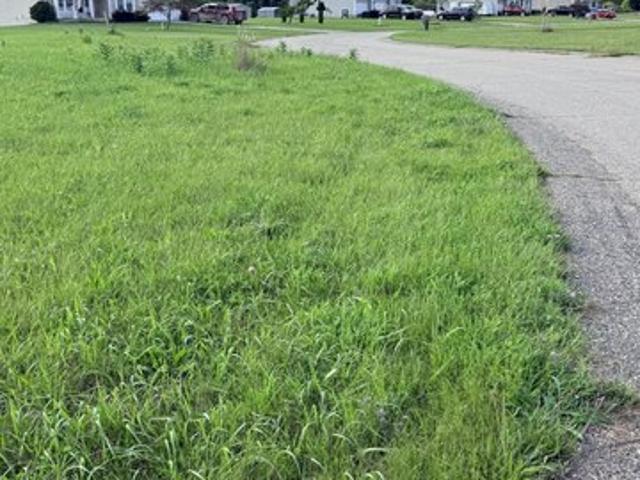Land for sale in Ionia, Michigan