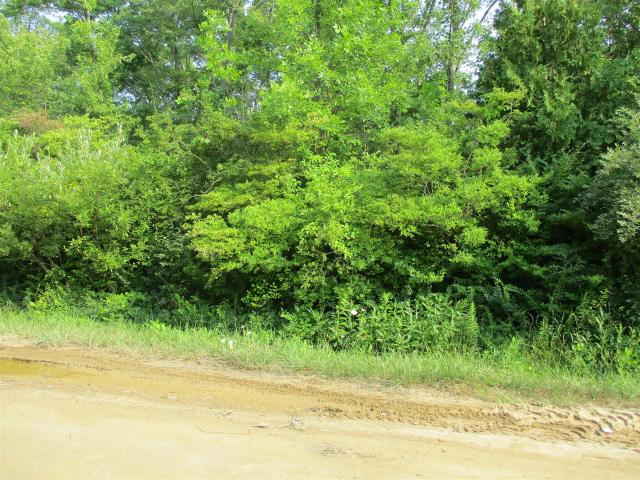 Land for sale in Michigan