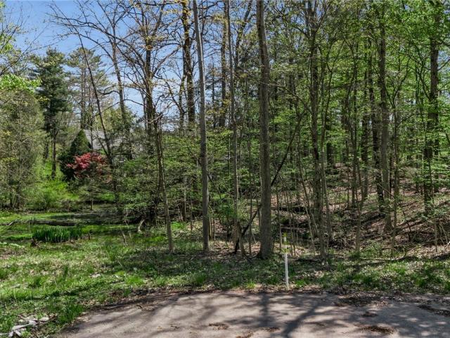 Land for sale in Orchard Park, New York