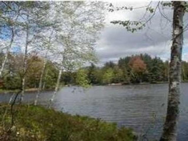Land for sale in Evart, Osceola County