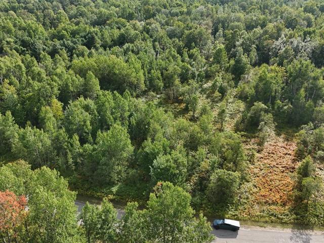 Land for sale in Michigan