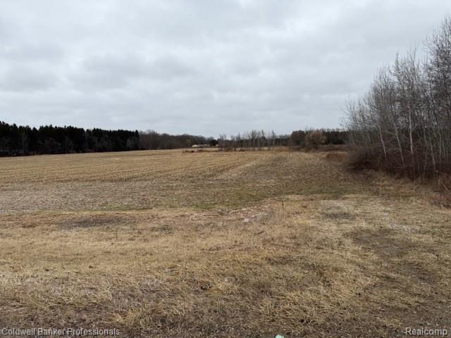 Land for sale in Michigan